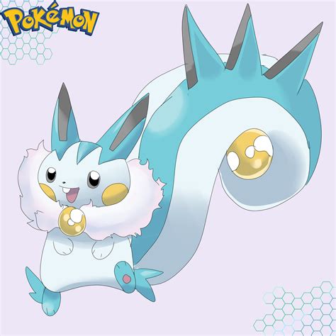 pachirisu evolucion|how rare is pachirisu.